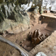Una trinchera en el sitio de excavación en la cueva Leang Bulu Bettue, en Sulawesi